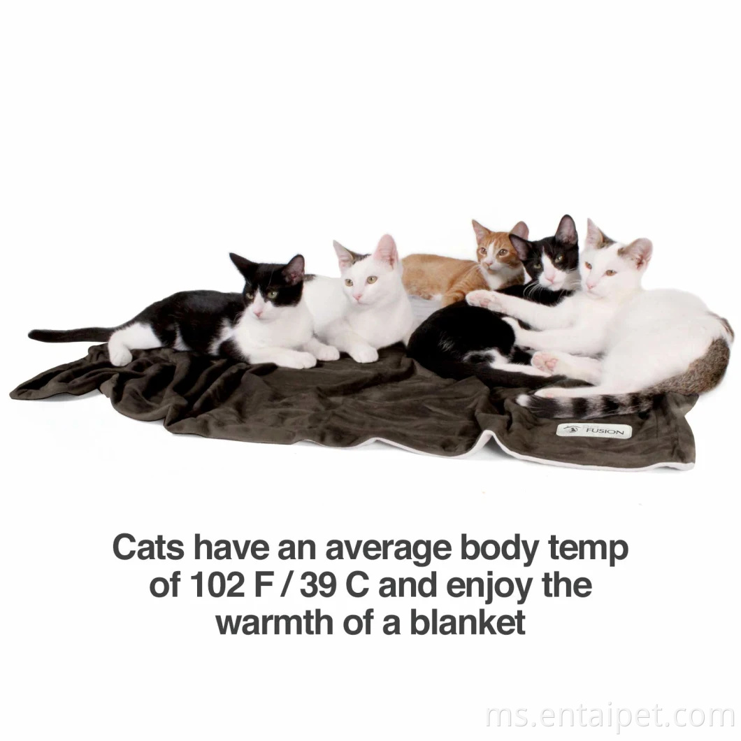 Bekalan haiwan peliharaan Premium Pet Selimut Pelbagai Saiz untuk Anjing & Kucing